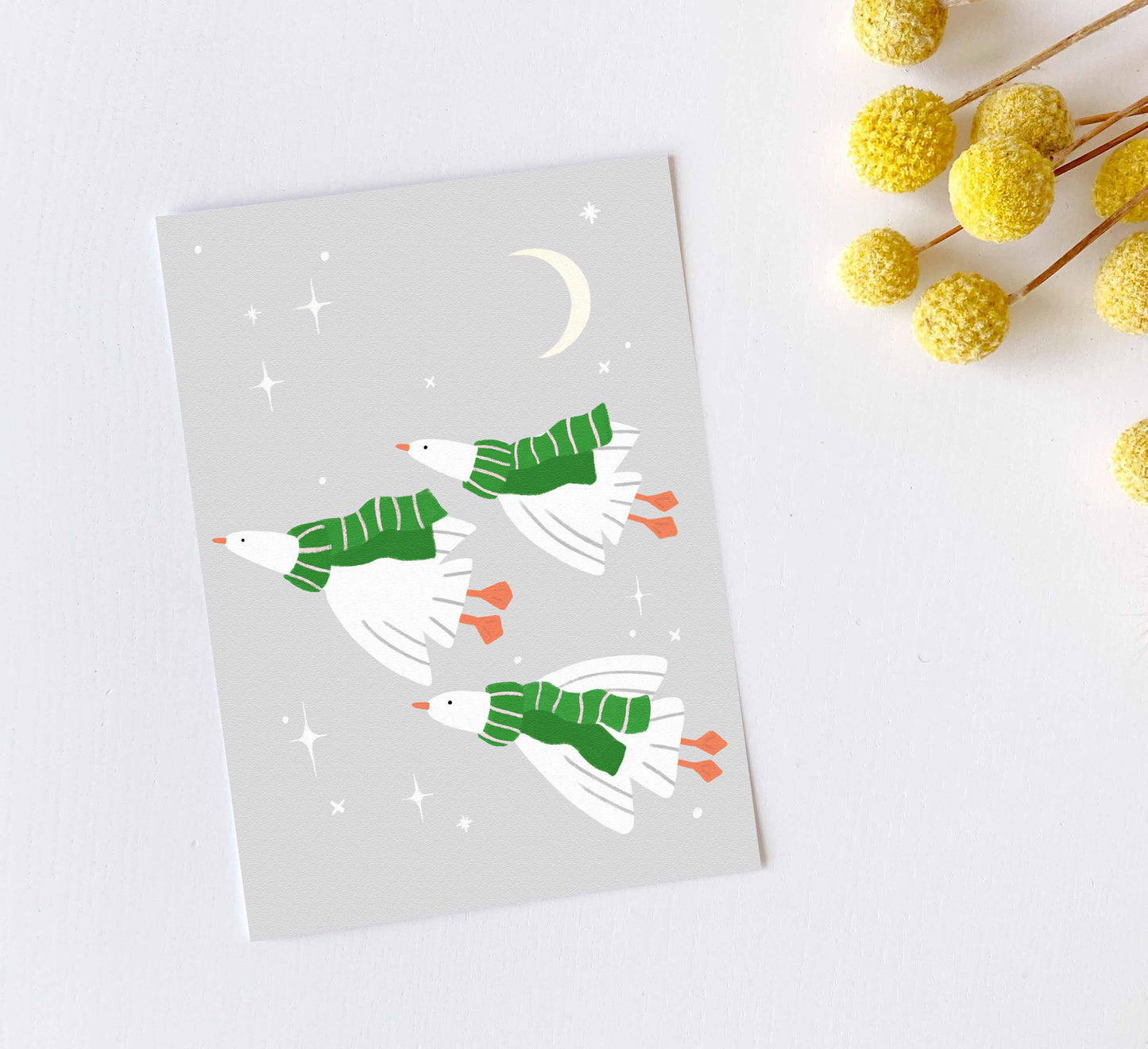 'Cosy Geese' Postcard