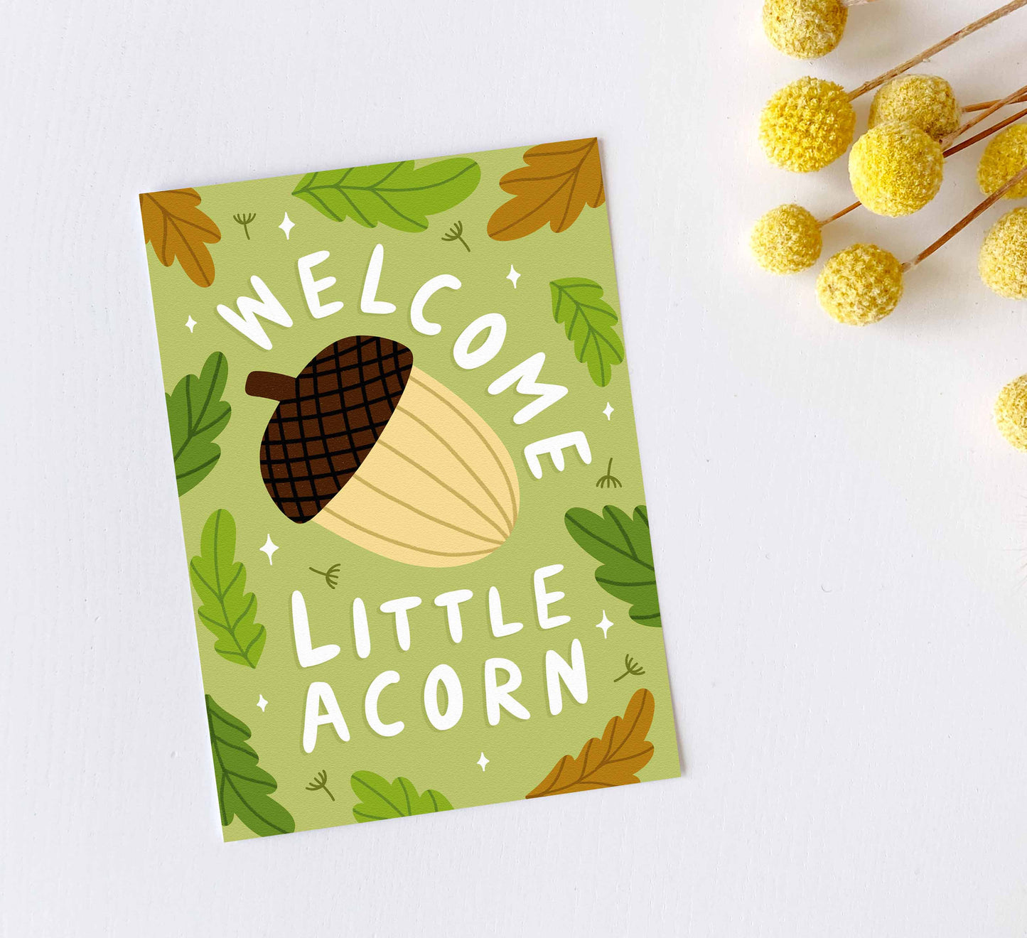 'Little Acorn' Postcard
