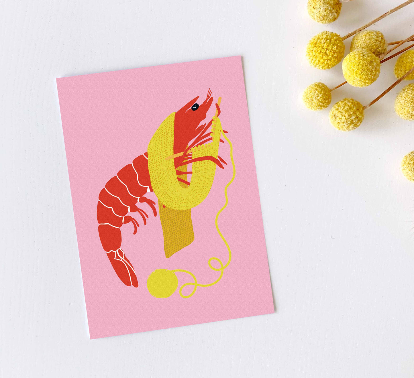 'Shrimp Stitch' Postcard