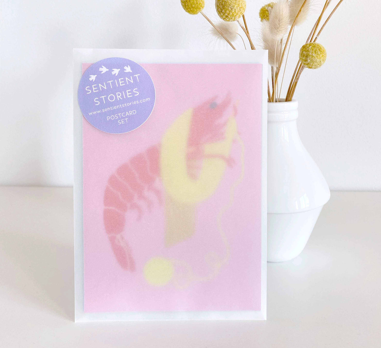 'Cute Creatures' Postcard Set