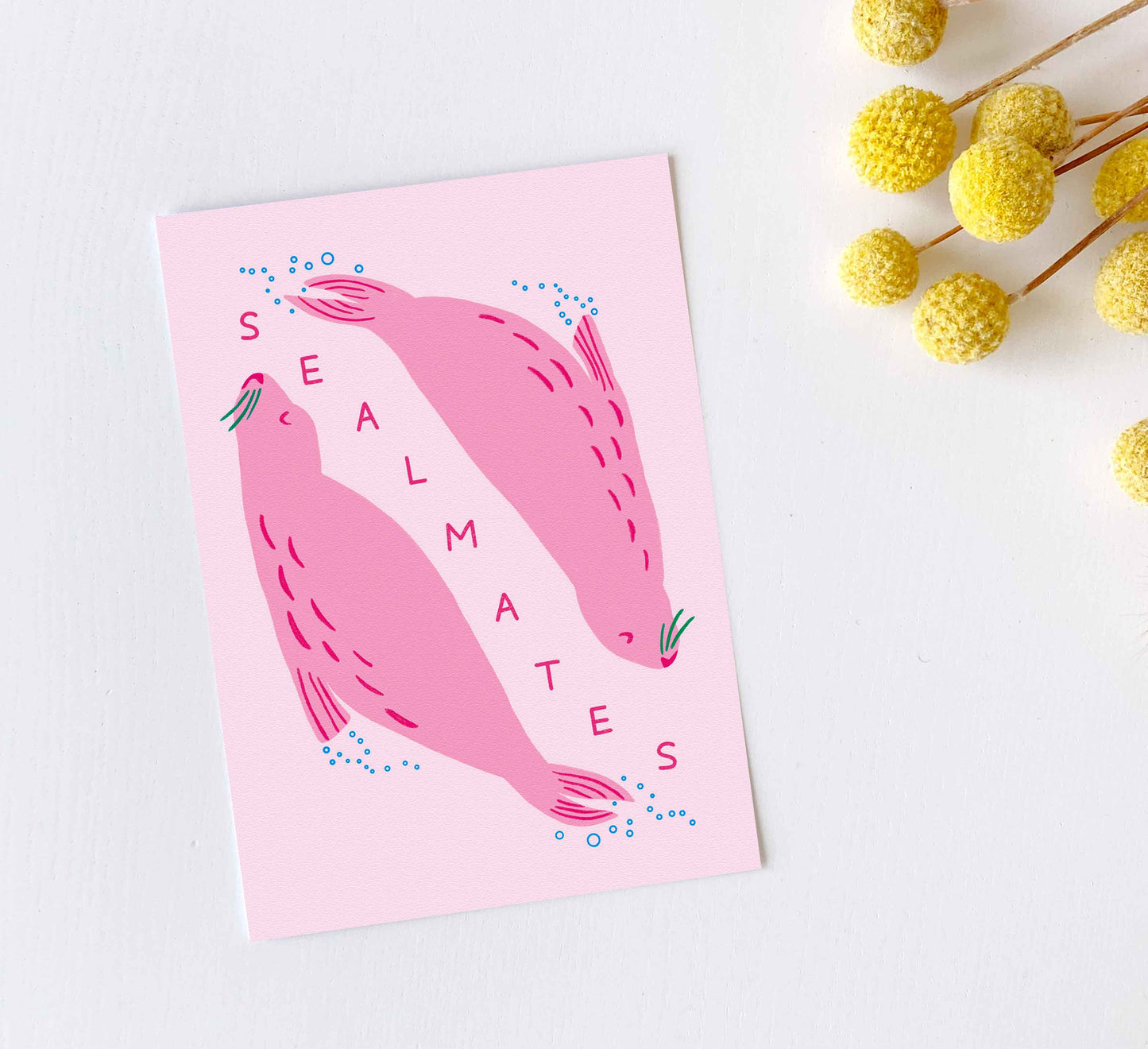 'Sentient Stories' 12 Postcard Set