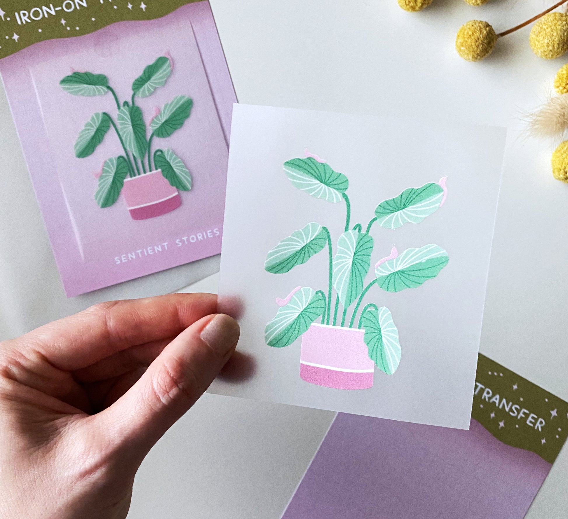 Hand holding a plant-themed iron-on transfer with a pink pot on a white surface.