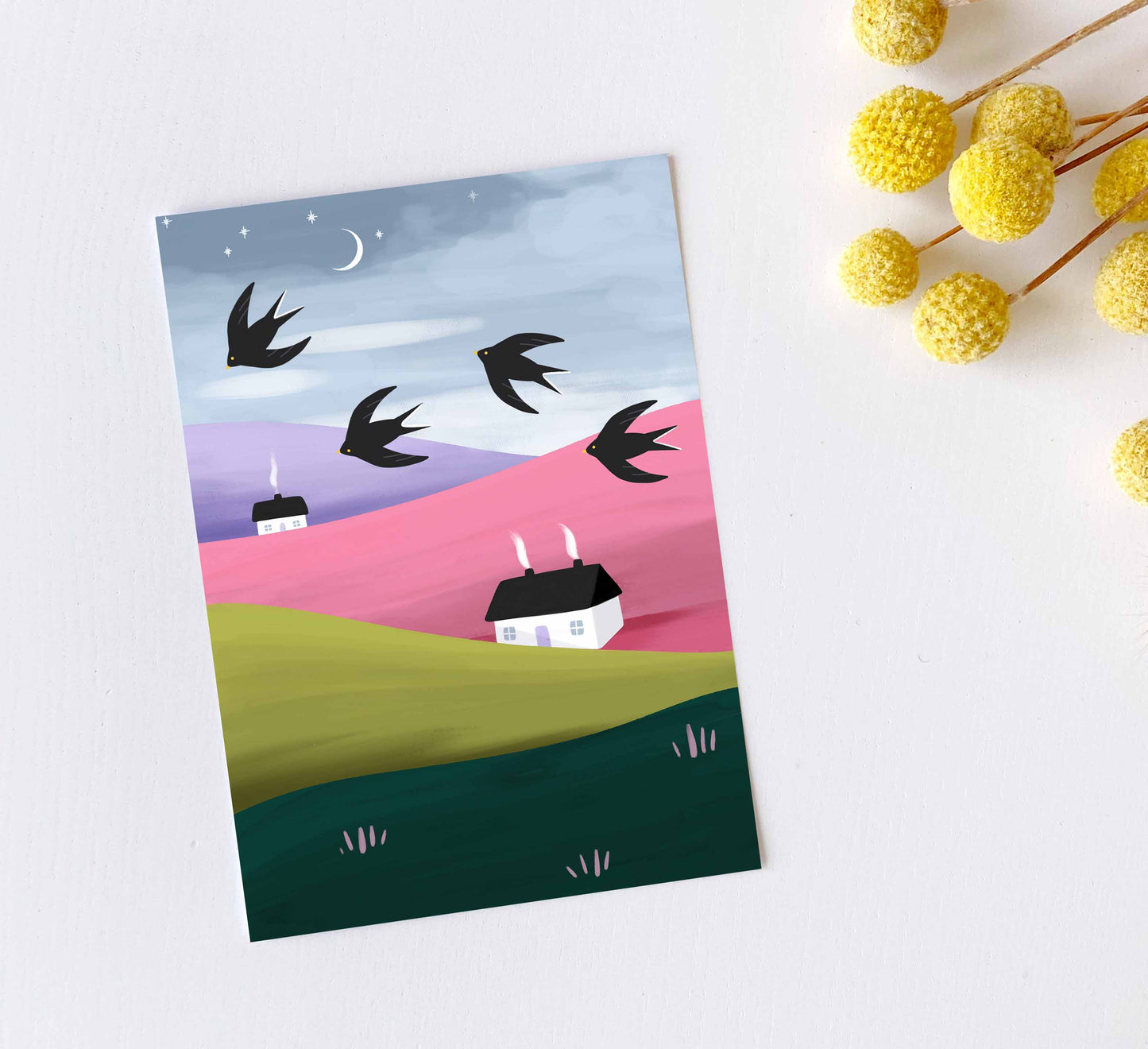 'Stars and Swallows' Greeting Card