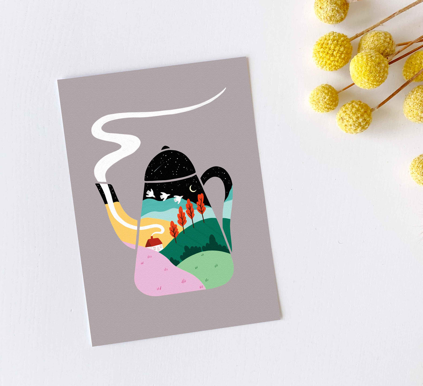 'Sentient Stories' 12 Postcard Set